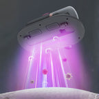 ASPIRADORA UV-C ANTIÁCAROS POWERCLEANY™